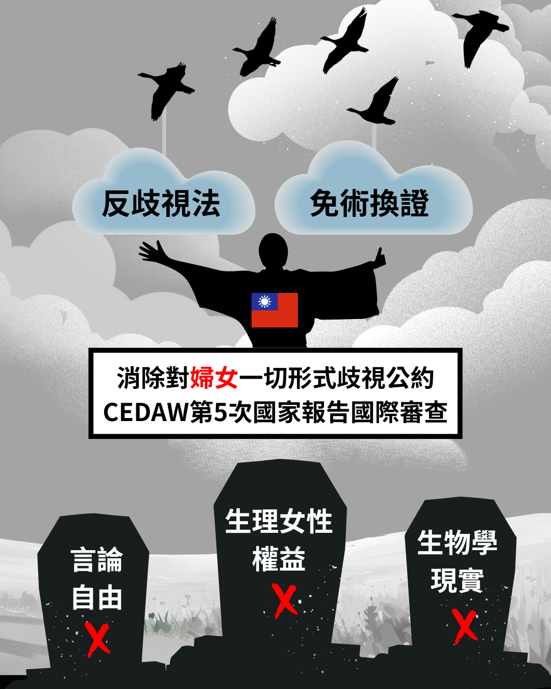 忽視生理女性權益!NO-SELF ID批CEDAW審查淪跨運護航工具,籲政府未來邀集專家應多元公正